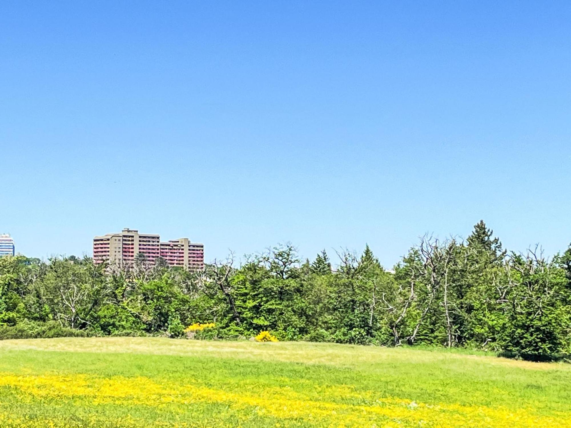 Apartment B313 By Interhome ラーンシュタイン エクステリア 写真